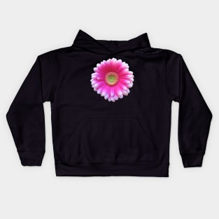 gerbera flower, daisies, gerberas, daisy, bloom Kids Hoodie